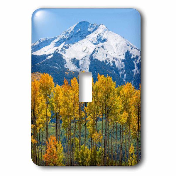 3dRose lsp_230351_1 Colorado. Fall Aspens and Mountain Toggle Switch, Mixed