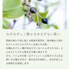 hatomugi Extract 30ml