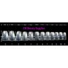 600 Pieces Medium Long Coffin Ballerina False Nail Tips NATURAL Full Cover Acrylic Press On False Nails Tips Extensions - Professional Salon & Home Use