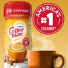 Nestle Coffee mate Hazelnut Powder Coffee Creamer
