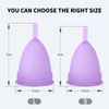 PATILWON Menstrual Cups 2 Pack Period Cup, with Micro-wave Oven Box Holder