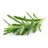 Rosemary Balm