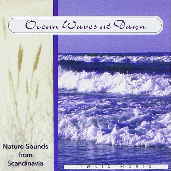 Ocean Waves at Dawn - Nature Sounds from Scandinavia