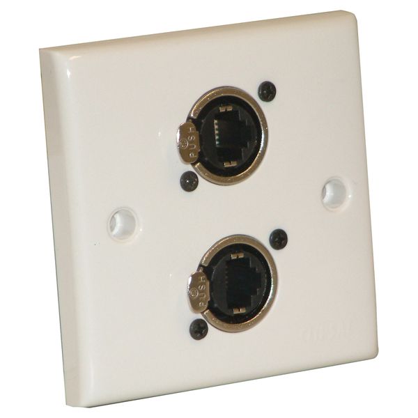AV Wall Plate With 2 x Ethercon Socket(NE8FDV)