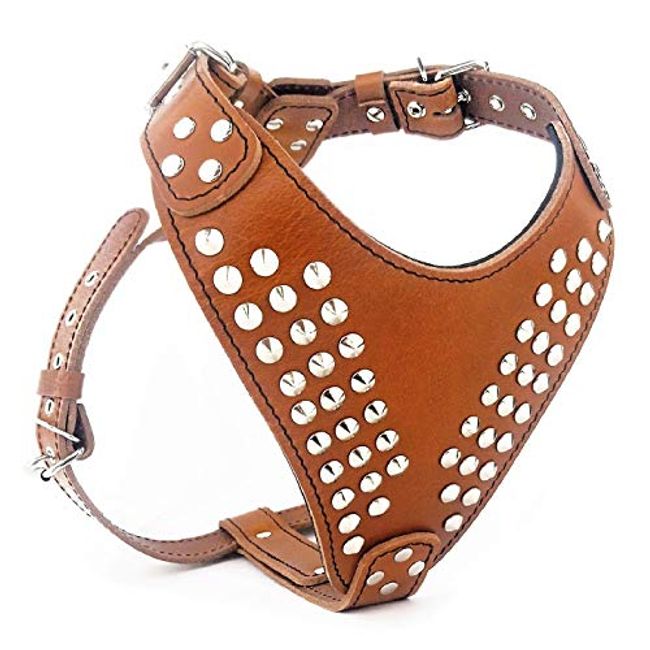 Bestia genuine leather chest plate harnesses for large dog breeds