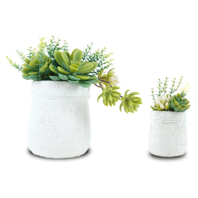 Candy's Tree Cactus Succulent Plants, Large and Small, 2 Piece Set (Large: 8.3 x 4.7 x 4.3 inches (21 x 12 x 11 cm), Min: 5.1 x 2.6 x 2.6 inches (13 x 6.5 x 6 cm), Photocatalyst, Deodorizing,