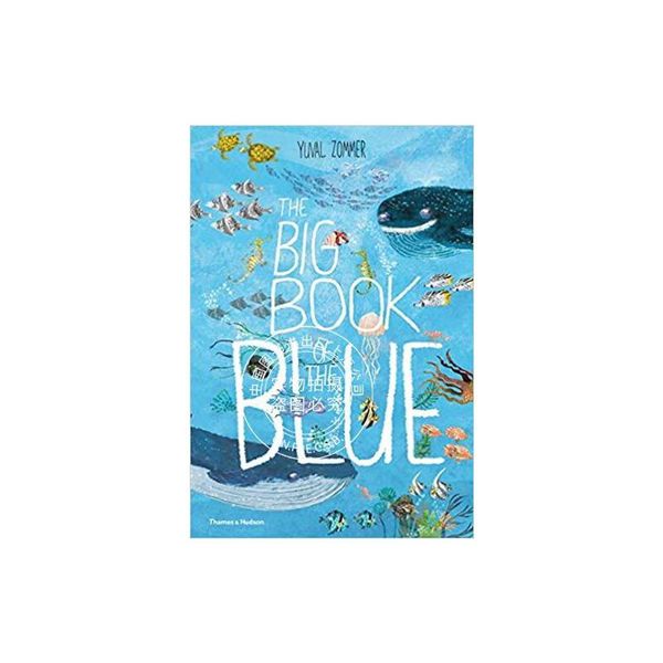 现货 The big book of the blue