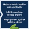 Uric Acid Control - 60 vcaps