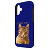 Massachusetts Territory Cat The Gorgeous Tabby Cat Case for iPhone 16