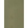 Maruman Canson Colored Drawing Paper, Mint, Olive Green, A4, 10 Sheets 321-711P