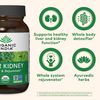 Organic India Liver Kidney Herbal Supplement - Detoxify & Rejuvenate, Supports Healthy Liver & Kidney Function, Vegan, Gluten-Free, Kosher, USDA Certified Organic, Non-GMO - 90 Capsules