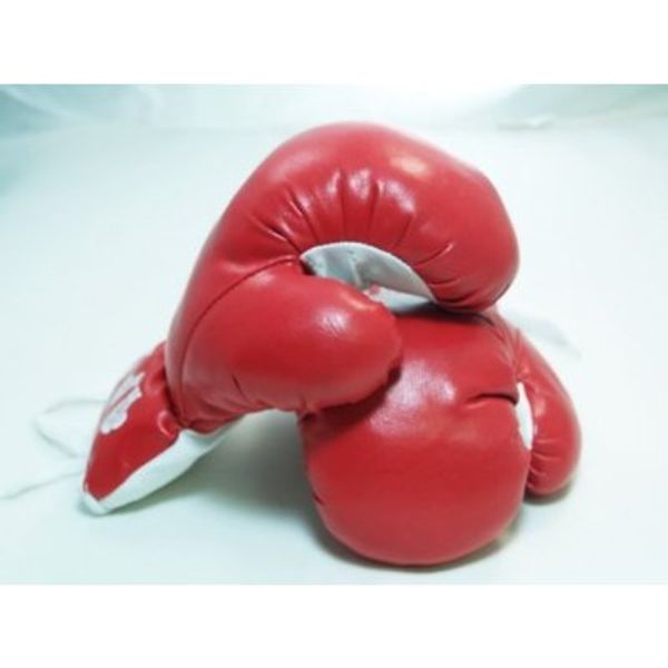 New 1 Pair of Youth Red 6oz Boxing Gloves For Kids