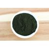 Anthony's Organic Chlorella Powder, 8 oz, Non GMO, Gluten Free, Broken Cell Wall
