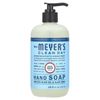 Hand Soap, Rain Water, 12.5 fl oz (370 ml)