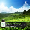 Green Tea Extract Capsules 98% Standardized EGCG 1000mg - 3X Strength for Natural Energy - Heart Support with Polyphenols - Gentle Caffeine - 240 Capsules