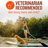 VetIQ Probiotic Supplement Dogs Digestive Support 60 Count