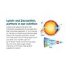 clear vision - Eye Vision Guard 24mg - zeaxanthin 2 Bottles