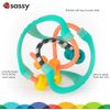 Sassy Baby Busy Ball