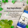 Dr. Christopher's Memory Plus Herbal Blend - Brain Supplements for Memory and Focus - Memory Supplement for Brain - Supports Cognitive Function, Energy, Alertness, and Concentration