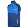 Regatta Herren Lankin B/W II Schwarz L