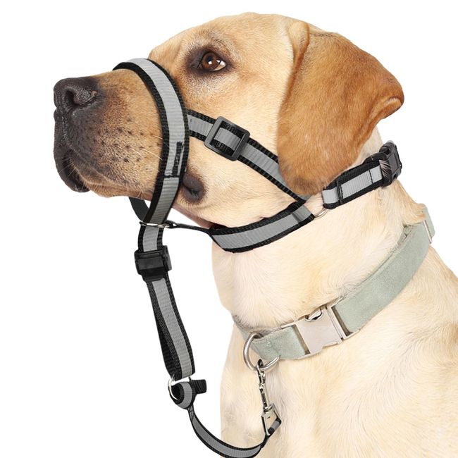 BARKLESS Reflective Head Collar, No Pull Collar for Large Dogs, Anti-Pull Muzzle Leash for Large Sized Breed, Adjustable Soft Dog Halter, Nose Leash for Easy Control on Walks