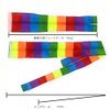 Infinity Long Tail Poi (with Replacement Short Tail Bag) JUGGLE 4 FUN (Rainbow)