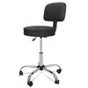 Swivel Salon Stool Multi-Purpose Drafting Spa Bar Stool with Back Cushion Black
