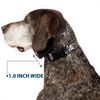 Buckle-Down Plastic Clip Collar - American Eagle Flags - 1" Wide - Fits 11-17" Neck - Medium