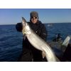Might Bite Trophy Collection Kit - Large Lures for Big Fish! 5.5", 7", 8" 9" The bigest Lures we Make!