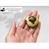 Crystal Heart Palm Stone (Septarian)