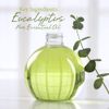 I & Candle Aromatherapy Soy Wax Scented Candles (Eucalyptus)