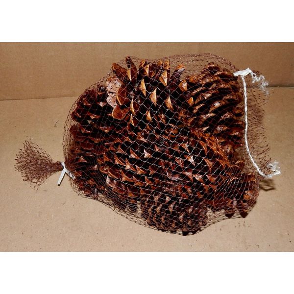 Firestarter Pinecones Wax Coated Fragrant Long leaf Burn Hot Easy Start USA 178M