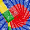 Bicycle Color Deck - Red Green Blue Yellow Back Playing Cards