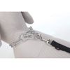 Trixie Chrome Long Link Choke Chain, 50 x 3 mm Thickness