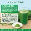 Lactic Acid Bacteria + Enzymes, Barley Wakaba, 60 Bags, Lactic Acid Bacteria EC-12 + Sporic Lactic Acid Bacteria Active Enzyme, Oligosaccharide Formulated