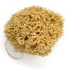 12CM Sea Sponge Unbleached Honeycomb Natural Seasponge for Bath Use, for Baby, or Art use (S Size 10-12 cm)