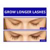 SPECTACULASH Eye Lash Growth Serum for LONGER, FULLER, THICKER Lashes DERMAWORKS