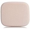 papirio seramupauda-fande-syon EX Sponge