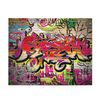Graphitti Puzzle (120, 252, 500-Piece) 20" × 16" (500 pcs)