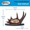 Szco Supplies 15" Etched Blade Deer Outdoor Hunting Knife With Resin Antler Display Stand,Brown