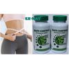 Probiotic Bacticontrol Support Bacterium Cure Biotrix  Bacticure Control Cell