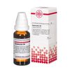 Quebracho D4 DHU Dilution, 20 ml Lösung