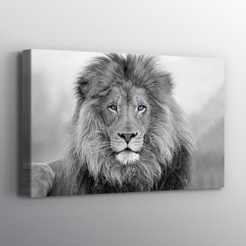 Black and White Blue Eyed Lion Print Wall Art Canvas. Printed Smooth Surface Home Decor - Various Sizes (36in x 24in Gallery Wrapped)