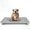 Acrimet Cooling Elevated Pet Bed Cot, Washable and Breathable Grey Mesh 40”x 24