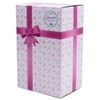 DREAM COLLECTION 14" Twins Baby Doll Set