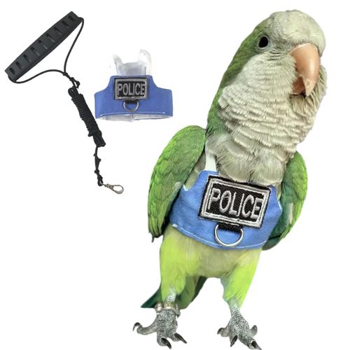 Bird Flight Harness Vest, Parrot Flight Suit with Leash, Bird Flying Clothes with Rope and Handle for Outdoor Activities (with Leash,Green Quaker)