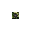ANTIPODES Glow Ritual Vitamin C Serum, 30 ML
