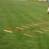 Football Agility Ladder 6 M