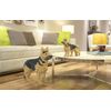 JEKCA 01S-M01 JECKBLOCK German Shepherd Dog