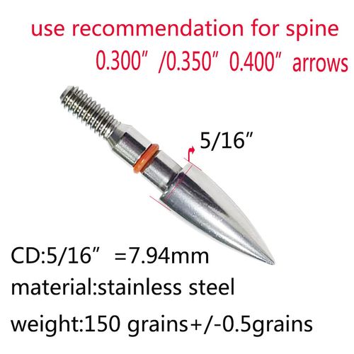 Field Points arrowheads 100 Grains Archery Field Points, 5/16inch Stainless Steel Screw in Archery Field Tips and Broadheads (1 Dozen 12 PCS), 2.9*2.3*0.6